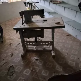 koza dikyan dikin masyn