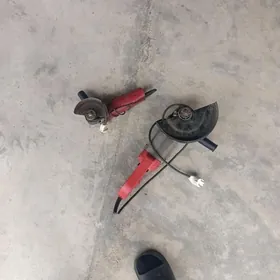 Uly kici balgarka zapjas