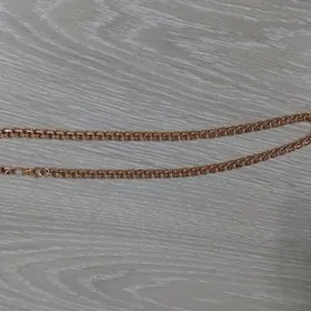 100 lik kardinal 585 pr