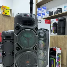 Kalonka Karaoke 8308