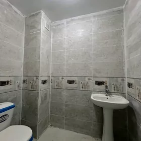 Anew Pol Elitka 4 kom