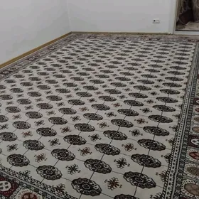 SATYN HALY PALAS ALÝAS