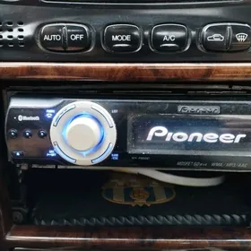 Arginal Pioneer Dilfin