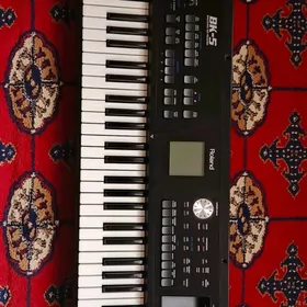 ROLAND BK-5