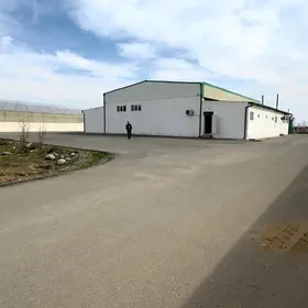 taýýar önümçilik Änew