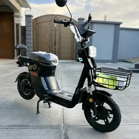 TIGIR PARTA SAMAKAT MATOR STOL