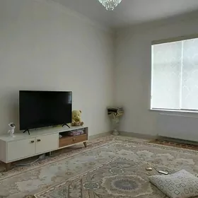 Arenda jay Gurtly Elitka