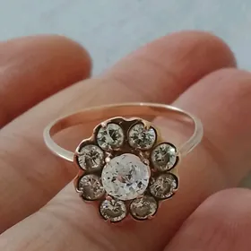 gyzyl gadymy tulpan yuzik