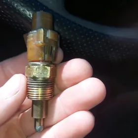 Tayota Awanses su daçik