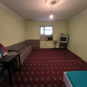 Daça Änew Geologiýa