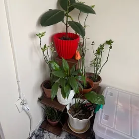 поставка для цветов