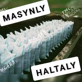 MITI KERAMSIT ÇAGE DERS GUM