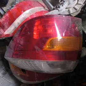 tayota haylander fara