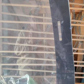 каролла лабовой