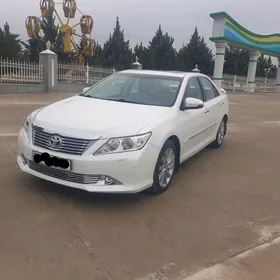 Toyota Aurion 2013