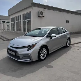 Toyota Corolla 2020
