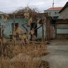 Giýafizika mikraýon