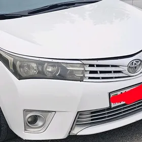 Carolla Fara 2014 Haliji