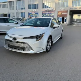 Toyota Corolla 2020