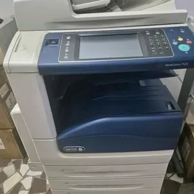 A3 Renkli Printer, XEROX