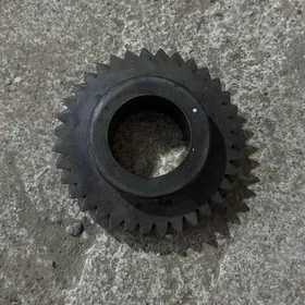 zef karopkañ 35 dişi