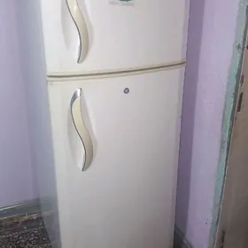 holadylnik холадылнык