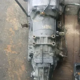 Ady prewyan karopkasy