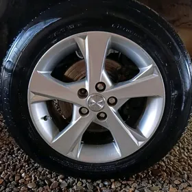 Diska exclusive Carolla radnoý