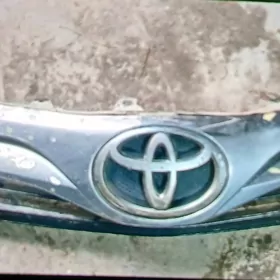 palta kemri abilsofka