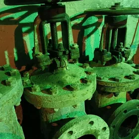 zadwiska 150.100.80.50.40