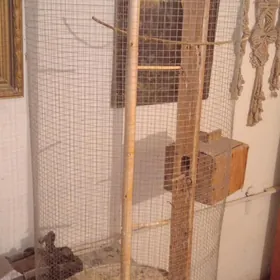 Клетка  для  попугая