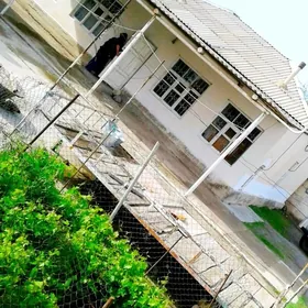 Gökdepe Rezez galkynyş obasy