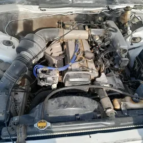 марык 2 йарым  2 лик газан нас