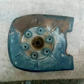 Minsgi matoryn yzky dişi