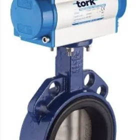 Howaly we Tokly kebelek wana