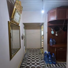 satlyk mir 2 mir koche ugry