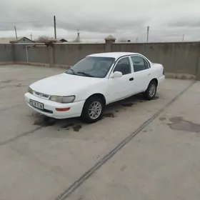 Toyota Corolla 1996
