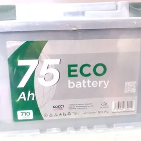 Eco 75Ah
