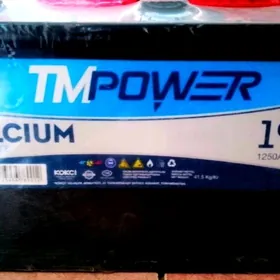 TmPower 190Ah