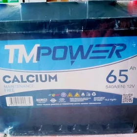 TmPower 65Ah