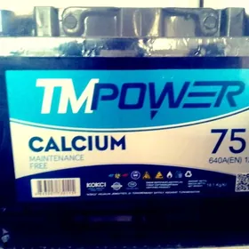 TmPower 75Ah