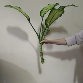 ДЕШЕВО ЦВЕТЫ