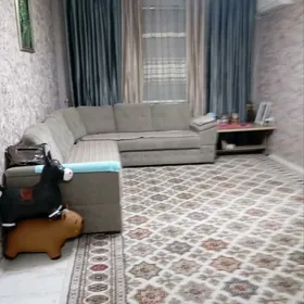 Buzmeyin jemagat satlyk jay