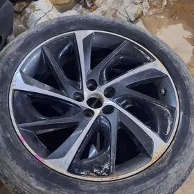 Rx,pathfinder 20 zapcastlar