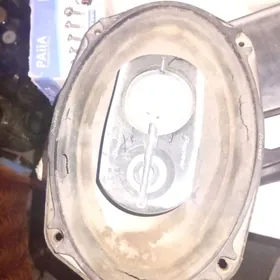 pioneer kalonka ikisi