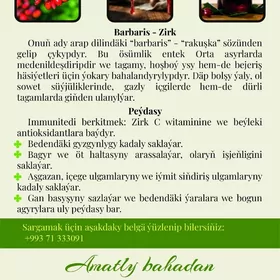 zirk kampot bagry agyryanlar u