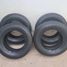 Prado Pakriska NEXEN zapazka