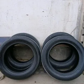 TEKER 16lyk brsgtone