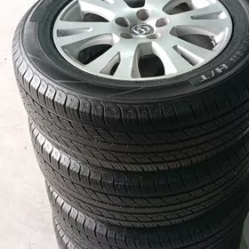 Siyena Disga Tekeri 17 lik