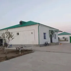 Taze Eyyam satılık jay